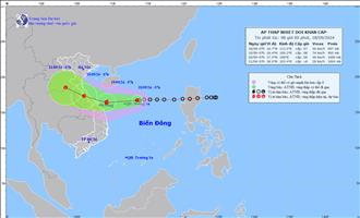 EVNGENCO1 ban hành Công điện về việc chủ động ứng phó với áp thấp nhiệt đới có khả năng mạnh lên thành bão